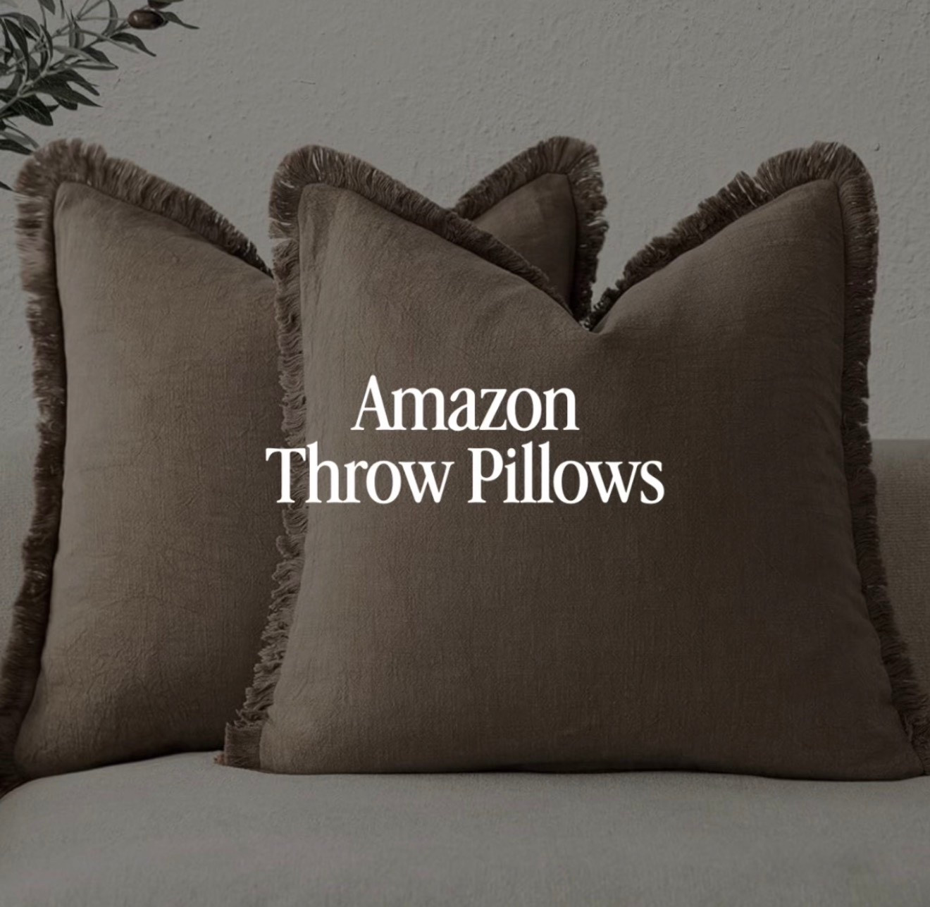 Amazon Pillows 

#LTKFindsUnder50 #LTKHome #LTKStyleTip
