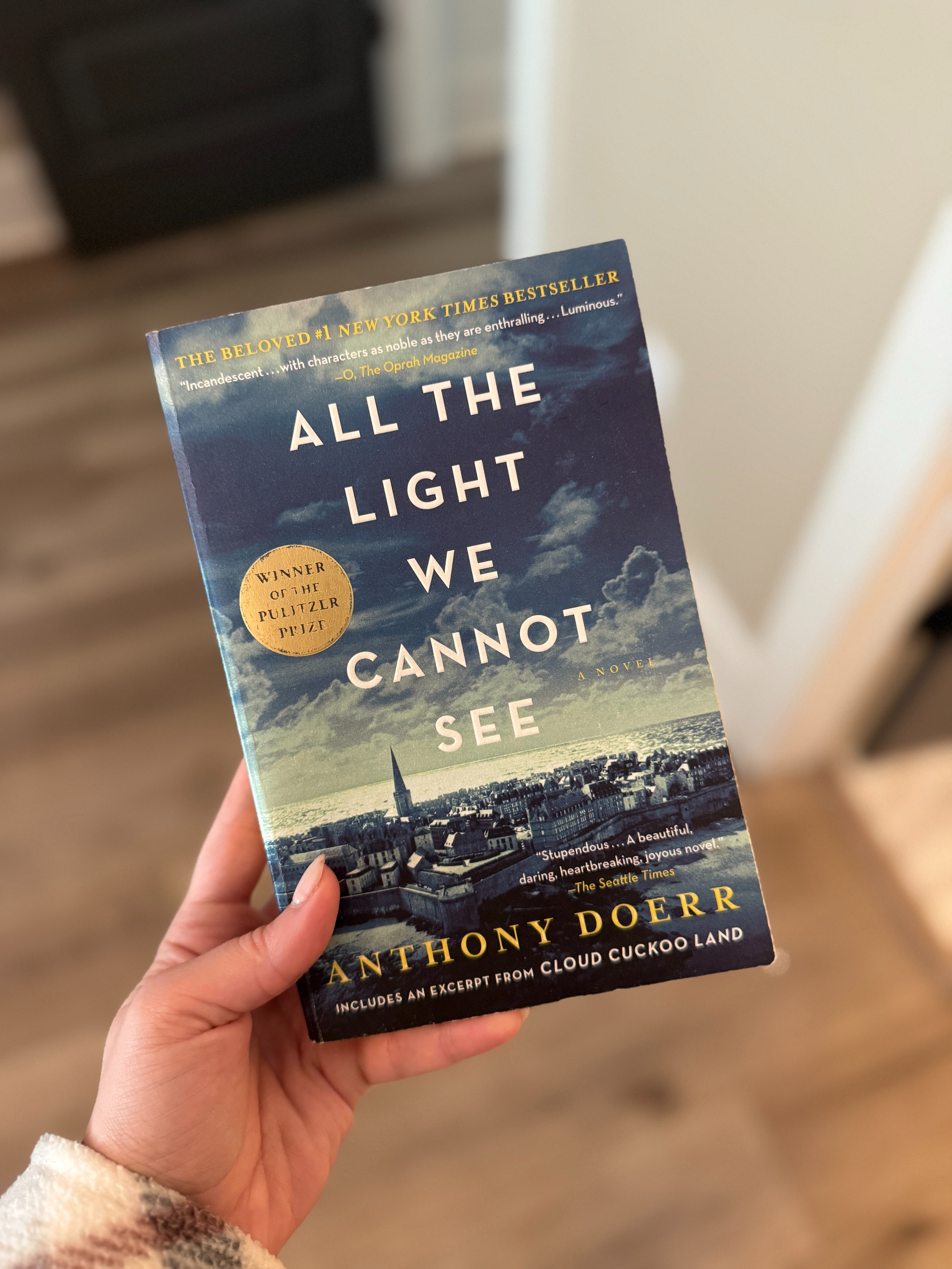 All the Light We Cannot See by Anthony Doerr

Such a beautifully written story  

 
