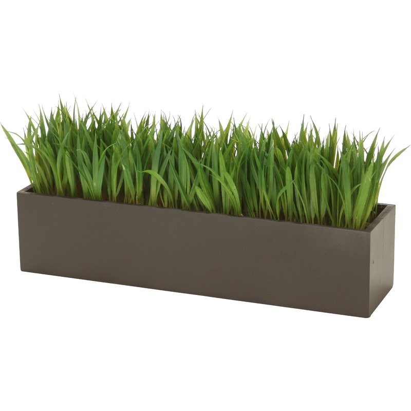 Grass in Rectangular Wood Planter | Wayfair North America