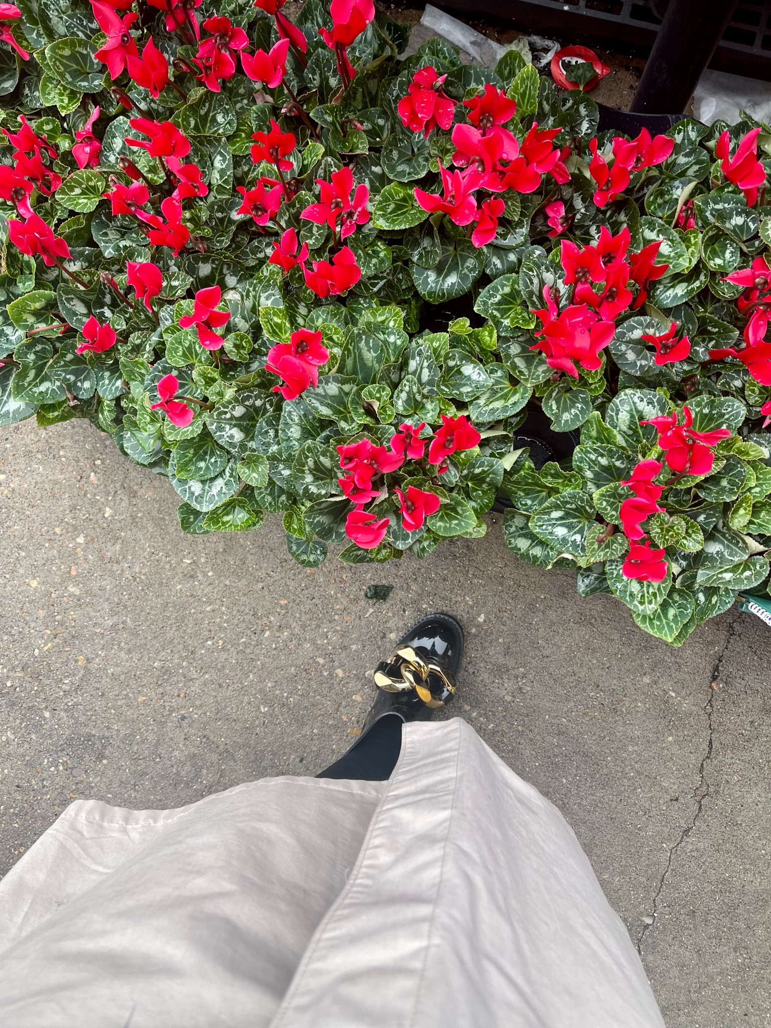 With boots this chic I don’t even mind the rain! #investmentpiece 

#LTKSeasonal #LTKstyletip #LTKshoecrush