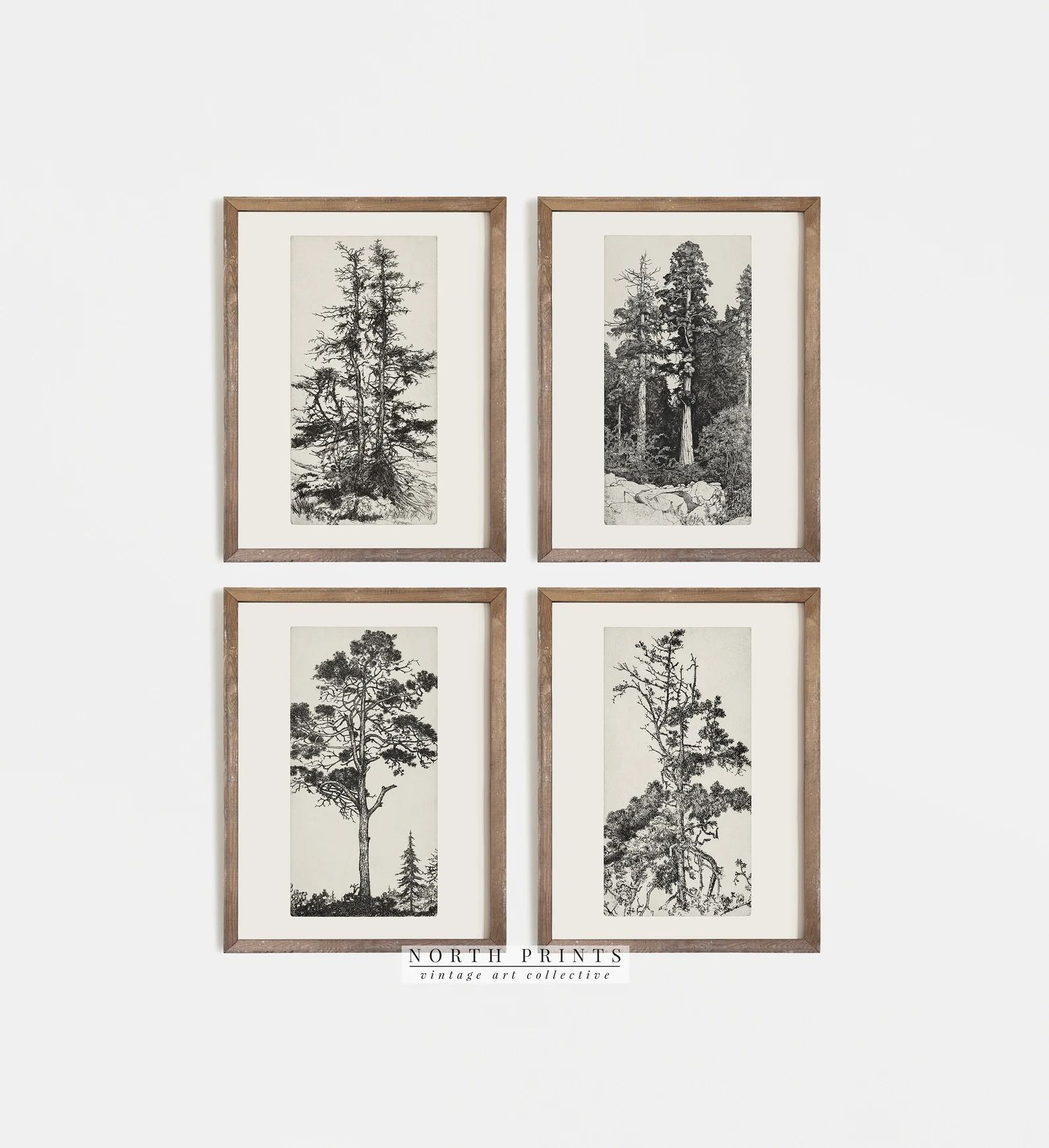 Vintage Gallery Wall Print Set Tree Sketches Etching Print Digital PRINTABLE S4-5 - Etsy | Etsy (US)