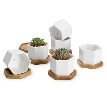 Small Succulent Plant Pots - 2.76 Inch White Ceramic Planter Indoor Mini Flowers Containers for Succ | Walmart (US)
