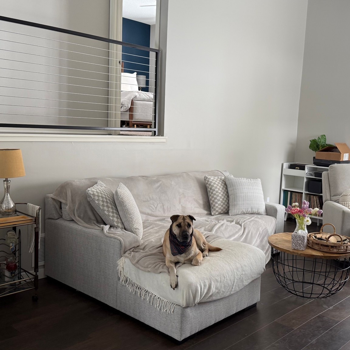 New couch from Ashley Furniture! Super comfortable and affordable! We love this thing 💕 

#LTKSeasonal #LTKHome #LTKSaleAlert