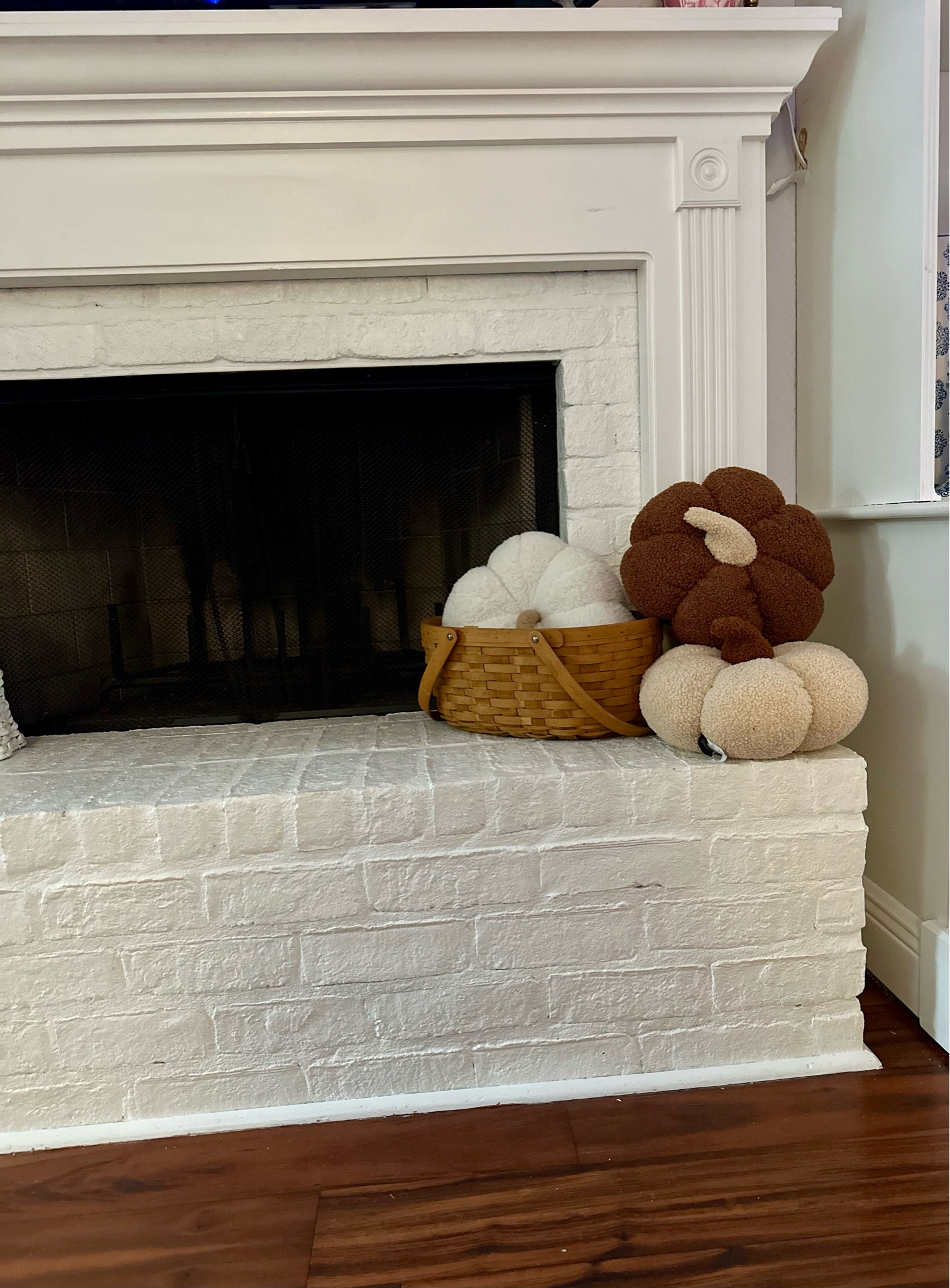 These pottery barn look for less pumpkin pillows are on sale today! 🎃 


Fall decor, home decor, lookalike, 

#LTKFindsUnder50 #LTKStyleTip #LTKHome