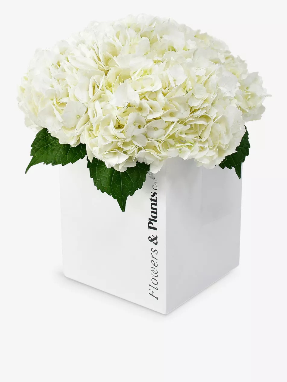 White hydrangea fresh-flower bouquet | Selfridges