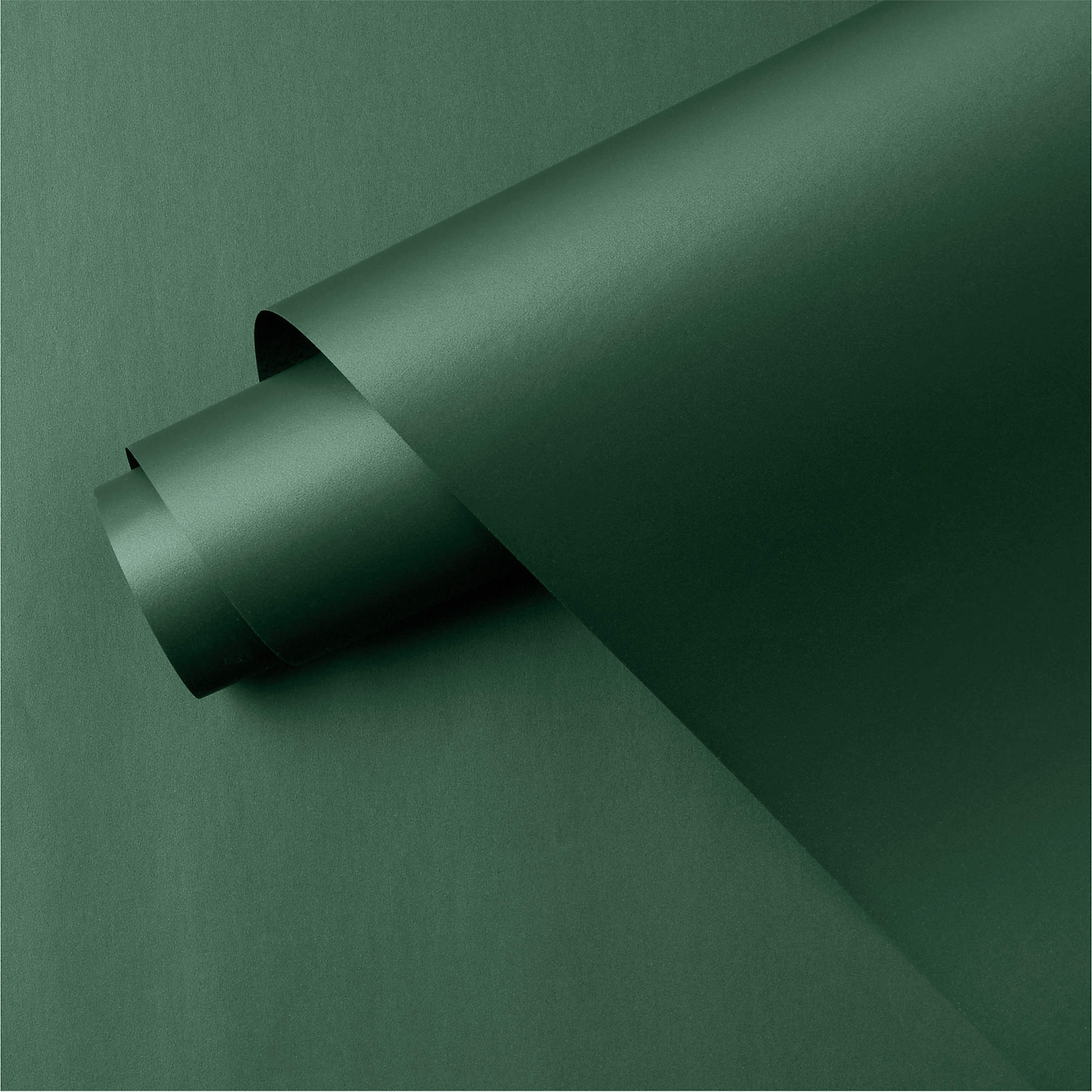 Matte Dark Green Holiday Gift Wrap + Reviews | CB2 | CB2