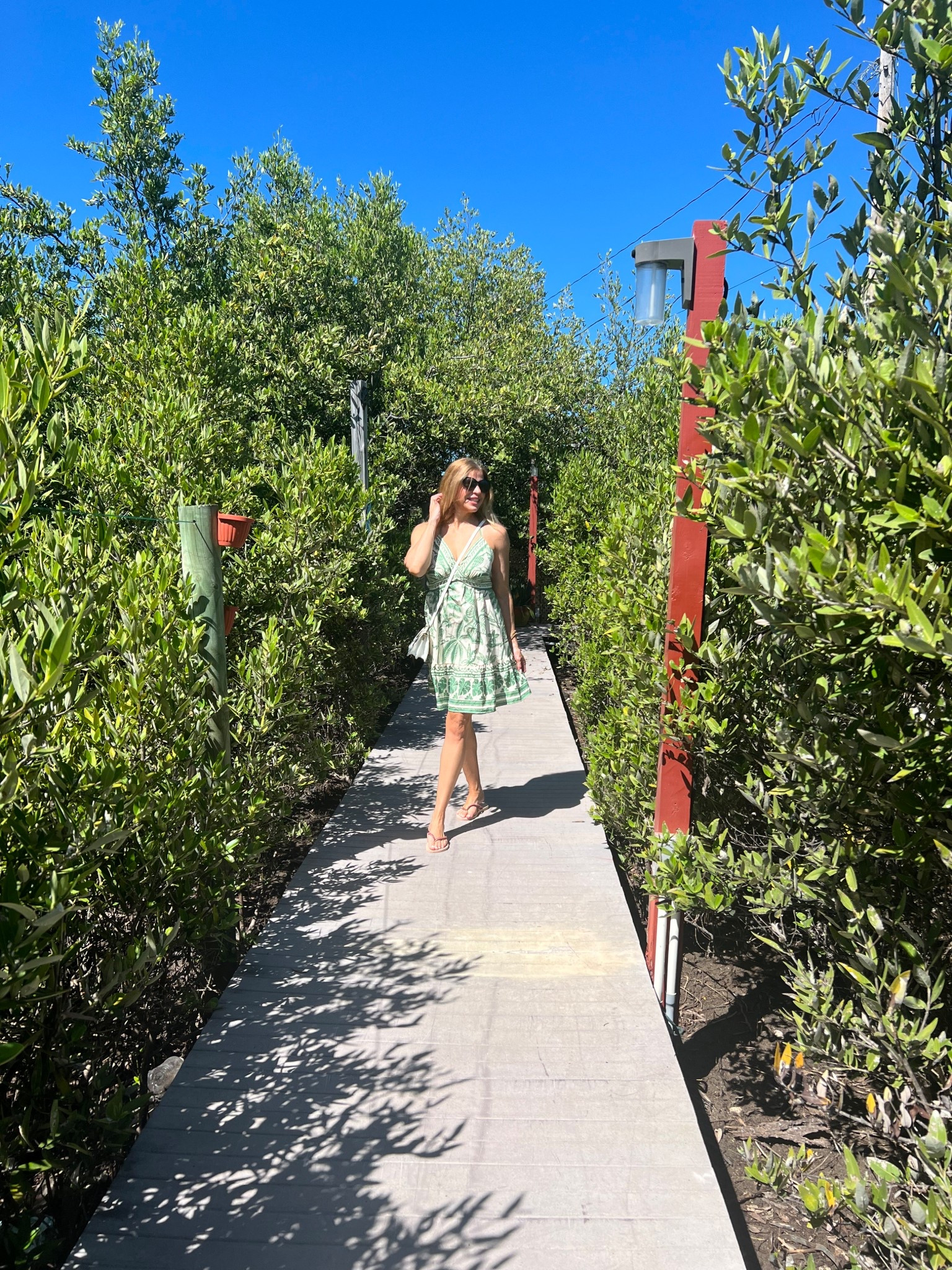 ✨ Effortlessly chic under the sun ☀️ This flowy green-and-white dress is the perfect blend of comfort and elegance for a day surrounded by nature. Lightweight, playful, and flattering — it’s the kind of piece every closet needs. 🌿
Would you wear this on a weekend escape? 💚
Shop the look now on my LTK!

#LTKStyleTip #LTKFindsUnder50 #LTKSeasonal