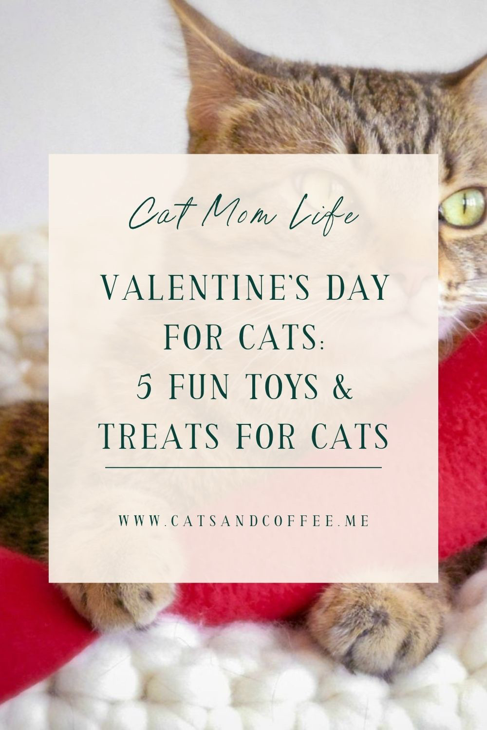 Spoil your cat this Valentine's Day! These 5 cat gifts include catnip toys from Etsy, Churu treats, and adorable Valentine's themed toys. Perfect for cat moms who want to celebrate with their feline friends. Shop cute and practical Valentine's gifts for cats! 

 #LTKValentine #LTKstorytime #LTKSeasonal