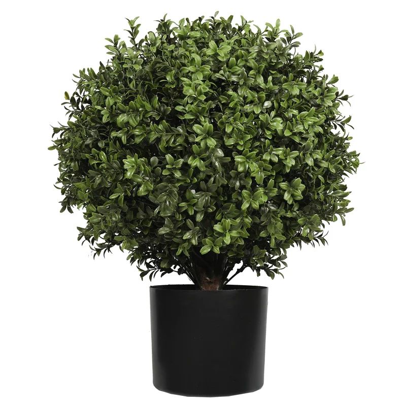 Faux Boxwood Topiary in Pot | Wayfair North America