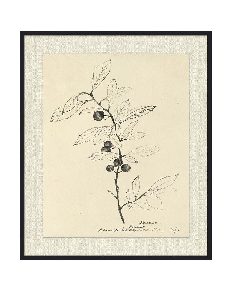 Floral Study 1 | McGee & Co.