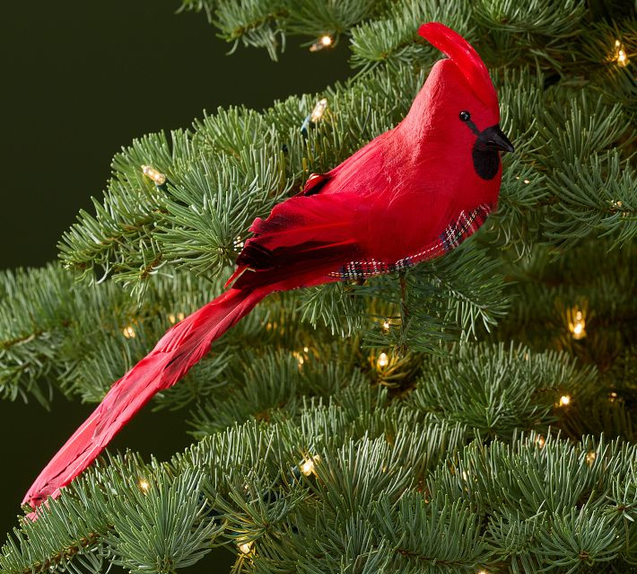 Feathered Cardinal Ornament | Pottery Barn (US)