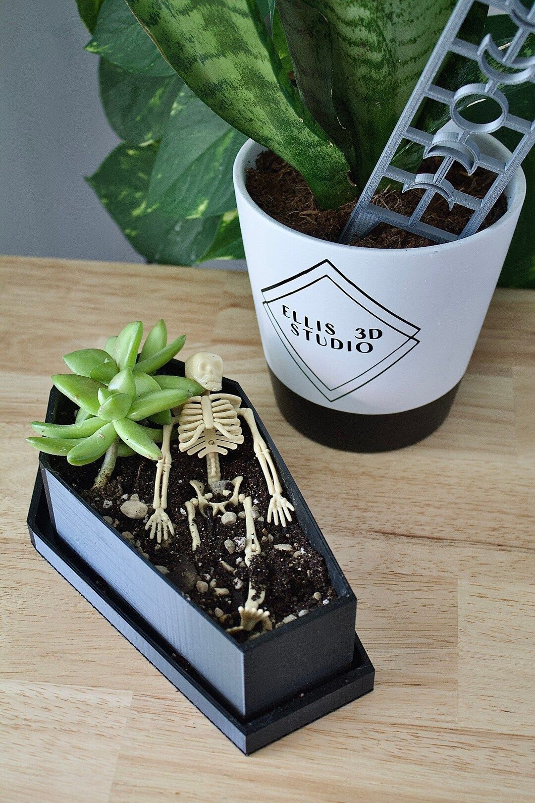 Coffin Planter Coffin Planter With Drainage 3D Printed Goth Decor Cottagecore Succulent Pot Hallo... | Etsy (US)