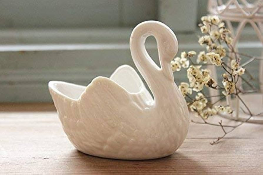 Good wife 2pcs Lovely Swan White Ceramic Planter for Succulents Decorative Succulents Pot Mini Fl... | Amazon (US)