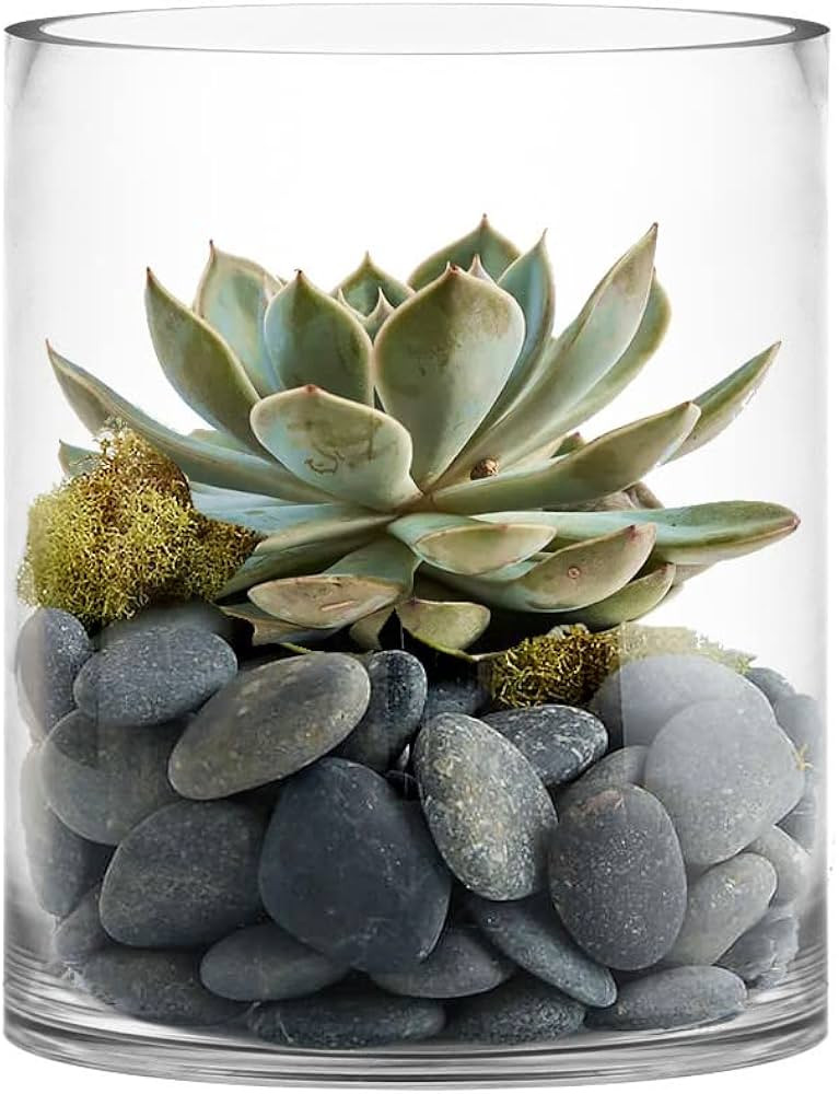 CYS EXCEL | Amazon (US)