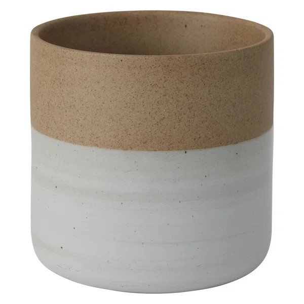 Hico Ceramic Pot Planter | Wayfair North America