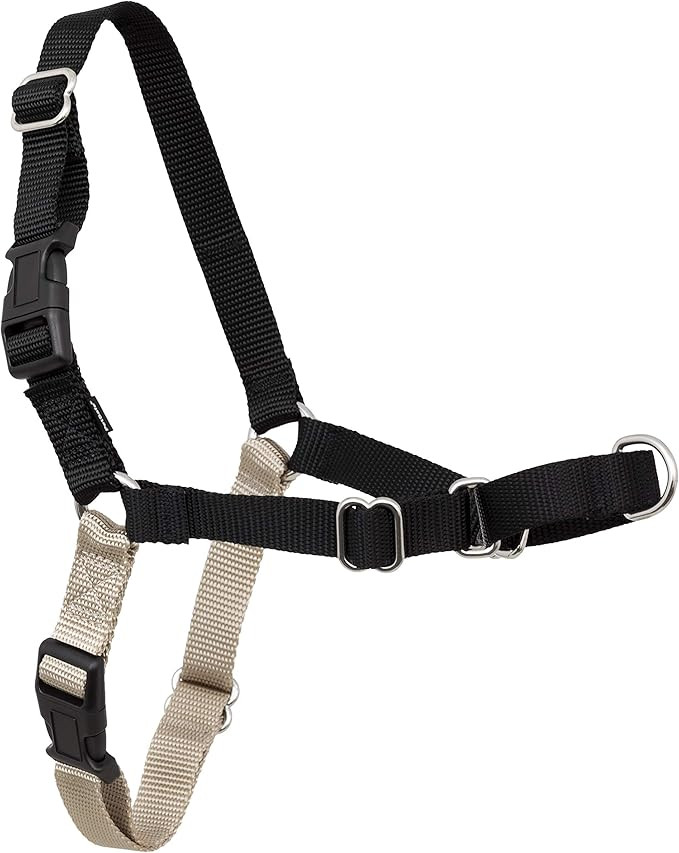 PetSafe Easy Walk No Pull Dog Harness: Stop Pulling & Coughing - Martingale Front Clip - Chest Ha... | Amazon (US)