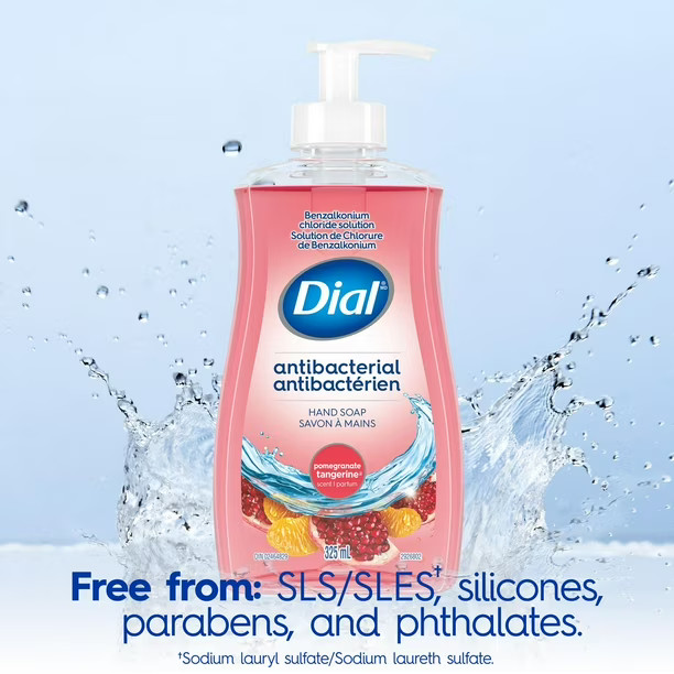 Dial Antibacterial Liquid Hand Soap, Pomegranate Tangerine, 325ml | Walmart (CA)