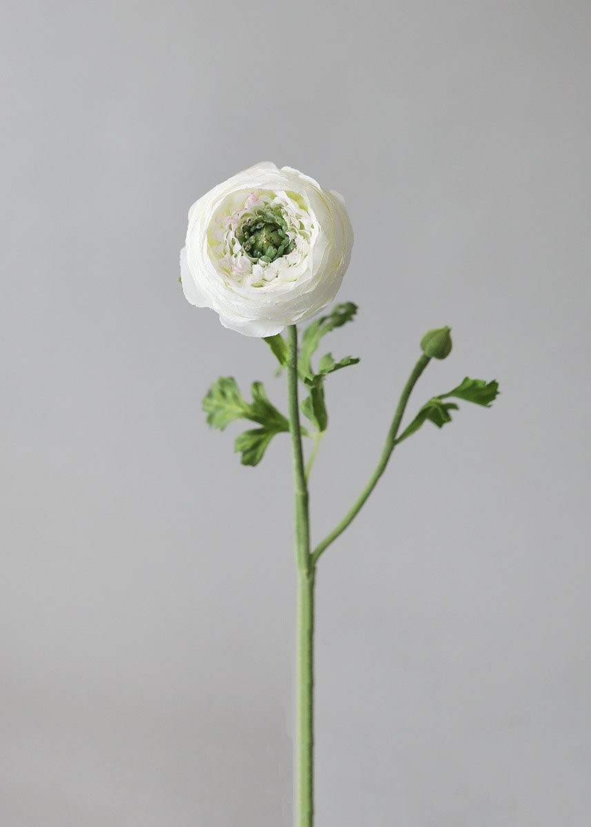 Silk Ranunculus in Cream - 13" | Afloral (US)