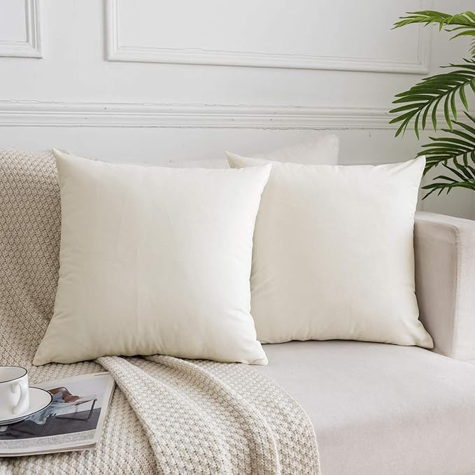 JUSPURBET Decorative Velvet Throw Pillows Covers for Couch Bed Sofa,Pack of 2 Luxury Soft Cushion... | Amazon (US)