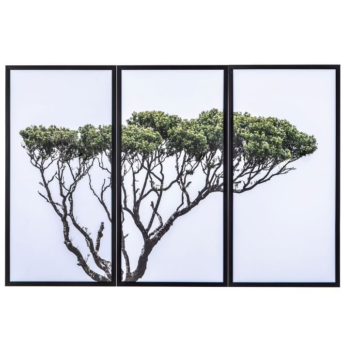 Tree of Life Framed Wall Art | West Elm (US)