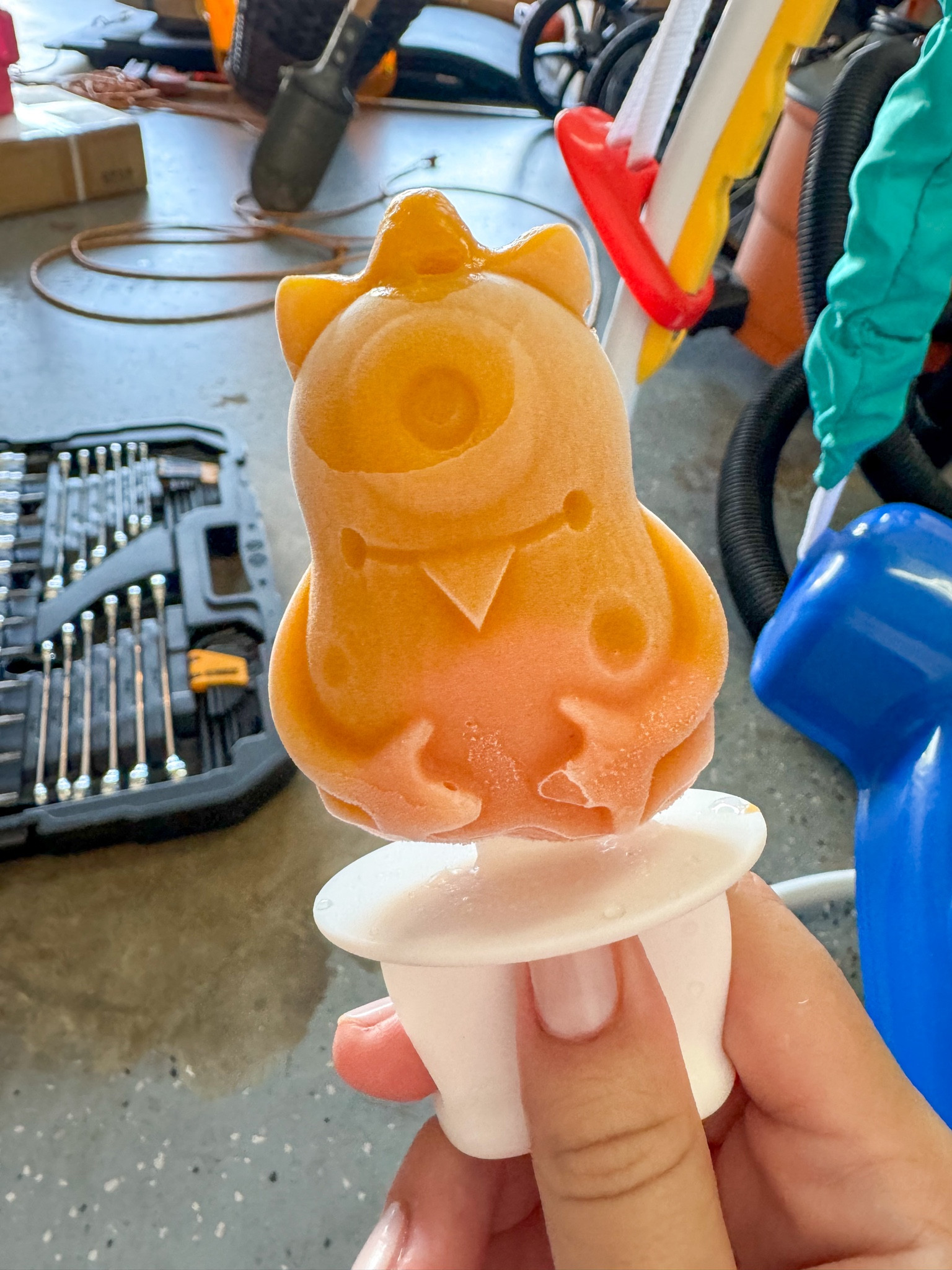 Frozen popsicles are the best treat for the summer! 

Use baby food or make your own to make them a bit healthier! 

#LTKBaby #LTKKids #LTKHome