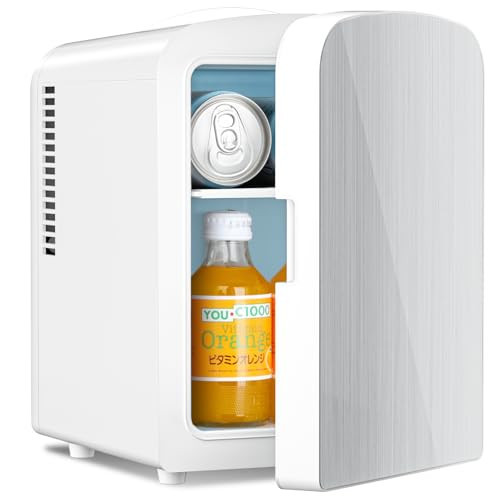 Antarctic Star Compact Refrigerator, Portable Mini Fridge, Skin Care 4L Capacity/6 Cans, for Bedroom, Car, Office & Dorm, Small Cooler for Cosmetics, Magnetic Brushed Stainless Steel Door, White | Amazon (US)