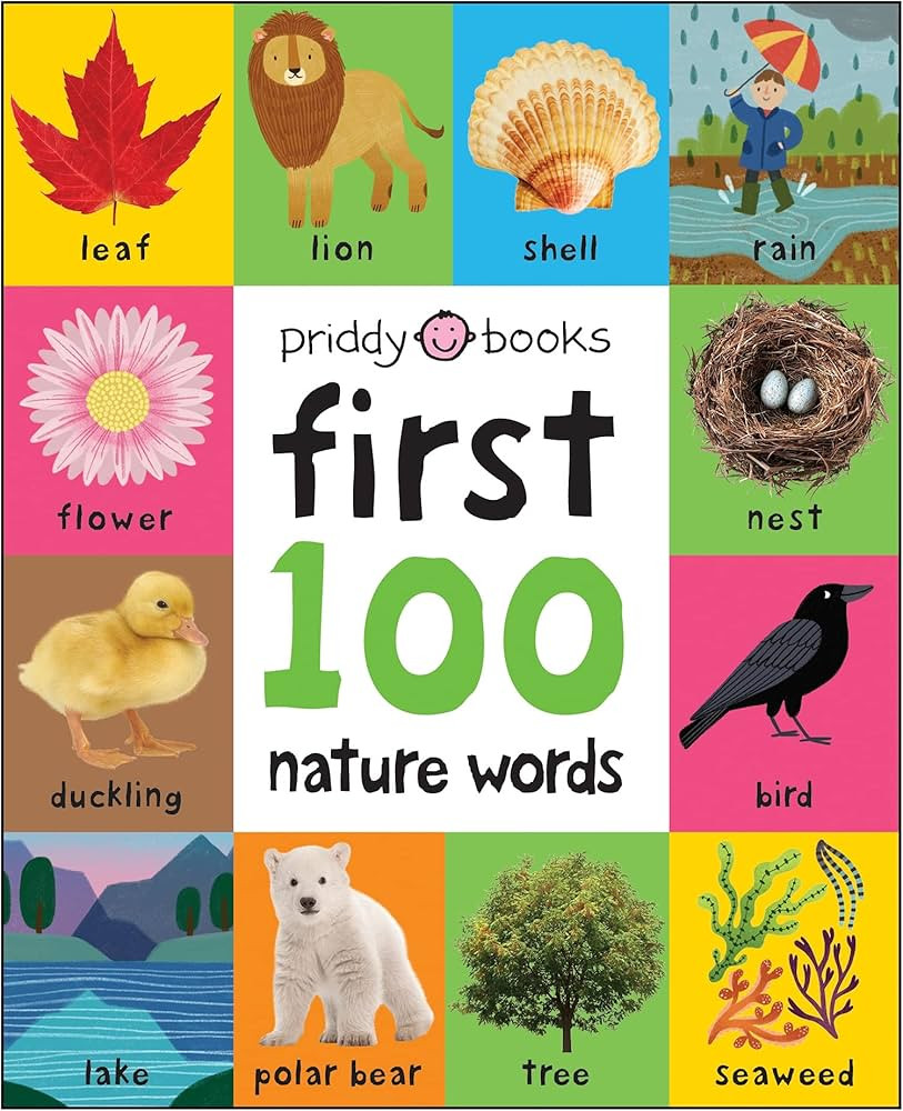First 100 Padded: Nature Words | Amazon (US)