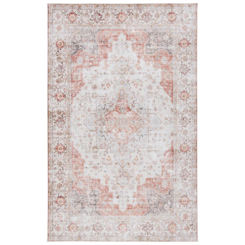 Chea Light Gray/Rust Rug | Wayfair North America