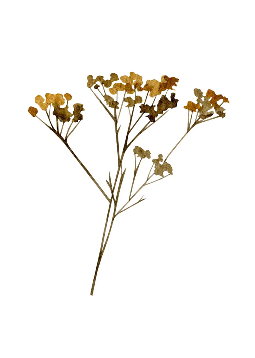 Autumn Bundle I | Collection Prints