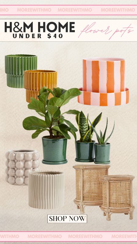 If you want classic and affordable things for your home, check out H&M Home!

Home Decor
H&M finds
H&M
Plants
Garden 

#LTKhome #LTKSpringSale #LTKsalealert