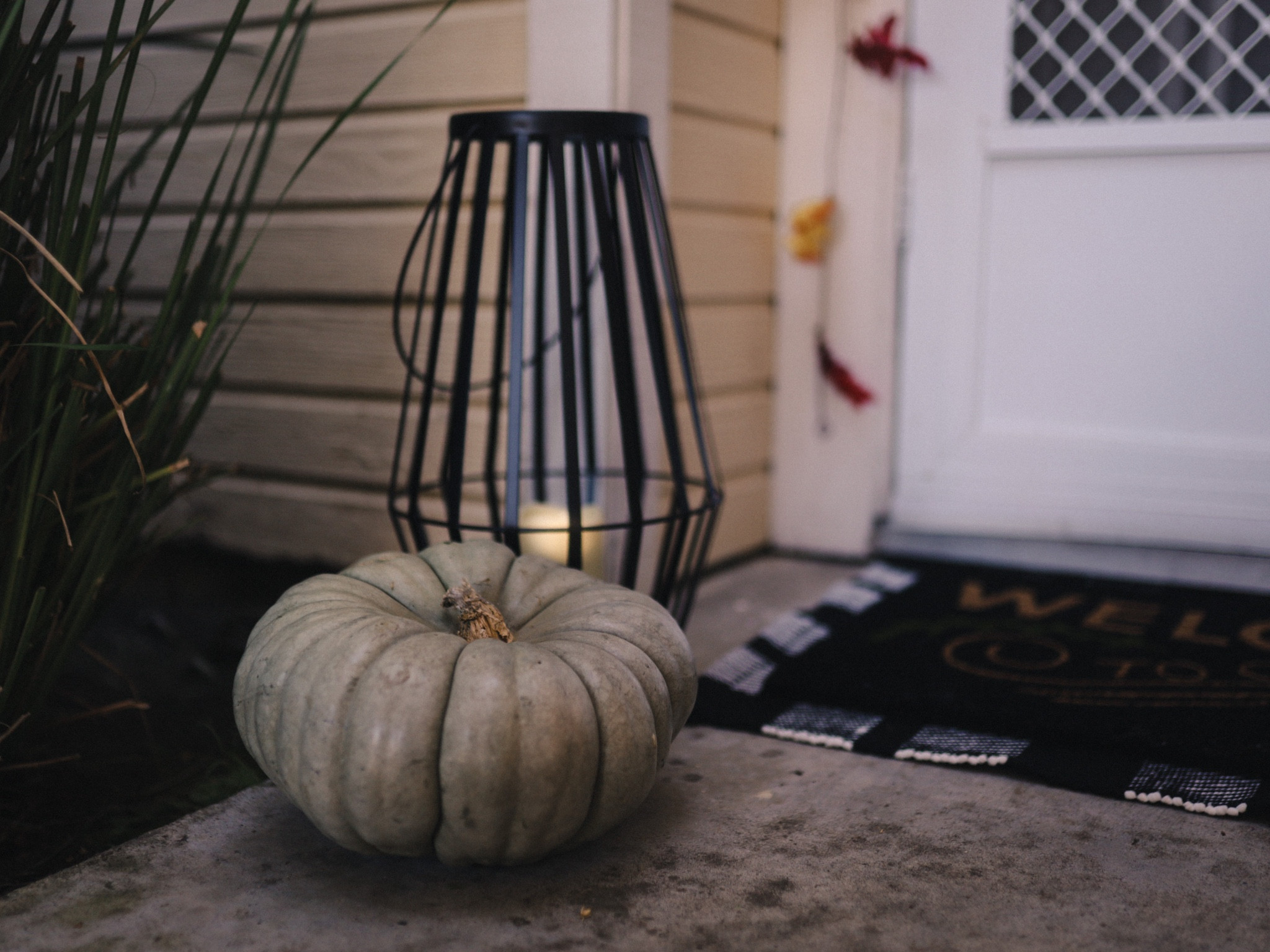 Target modern fall front porch decor 🎃 

#LTKHalloween #LTKfindsunder100 #LTKSeasonal