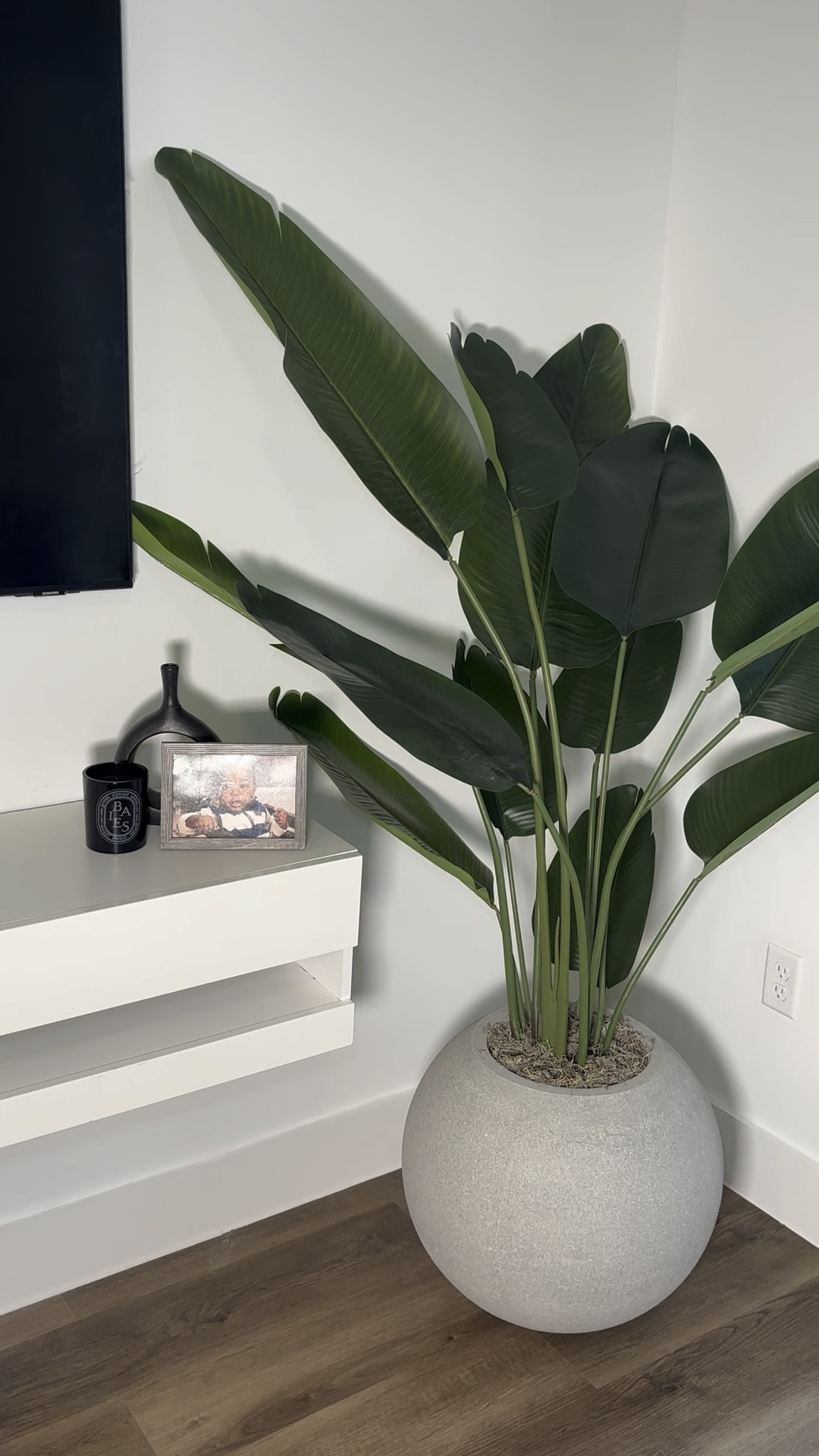 Most realistic artificial bird of Paradise. 6ft tall. 

#LTKFindsUnder100 #LTKBacktoSchool #LTKStyleTip