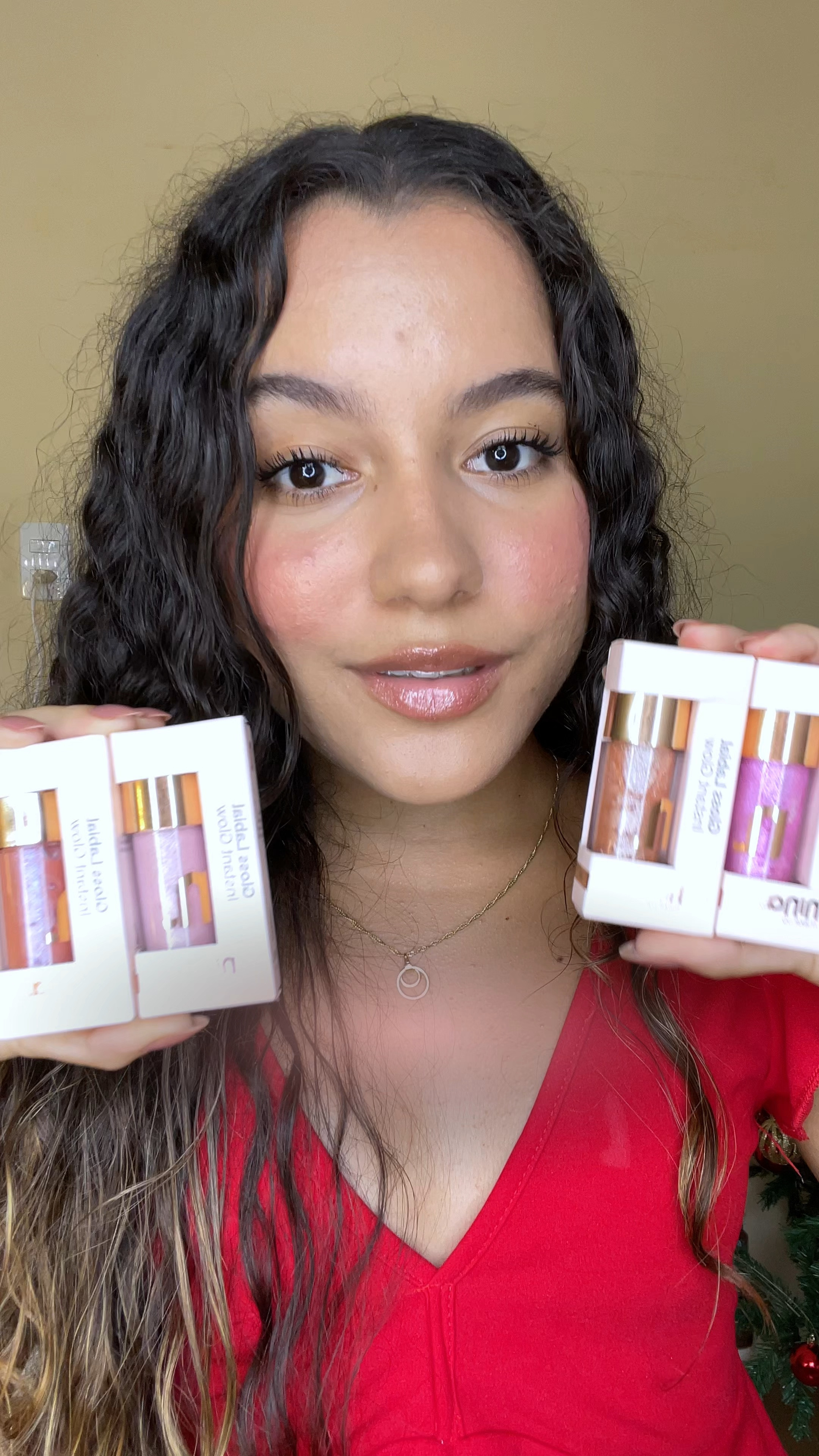 Novos glosses INSTANT GLOW da Nina Makeup💖

#LTKbrasil #LTKbeleza
