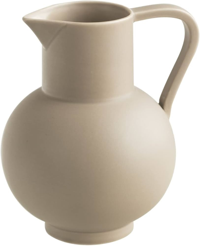 France Style Flower Vase with Handle, Water Pot/Dry Flower Vase, Minimalist Decor for Living Room... | Amazon (US)