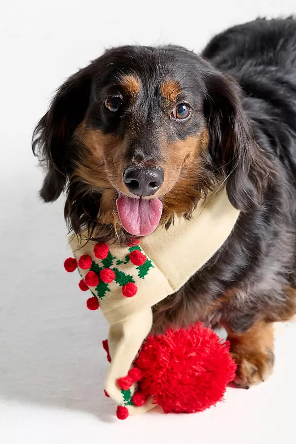Holly Bobble Knit Dog Scarf | Anthropologie (US)