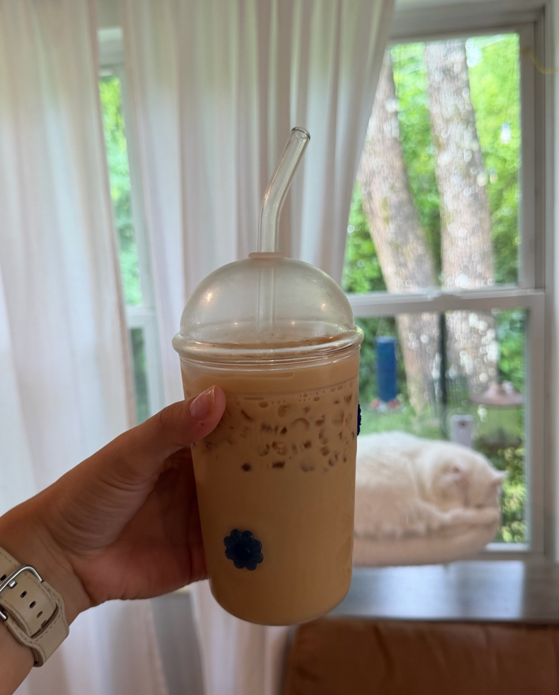 Cutest Summer iced coffee glass cup 

#LTKmomlife #LTKmorningroutine #LTKSeasonal