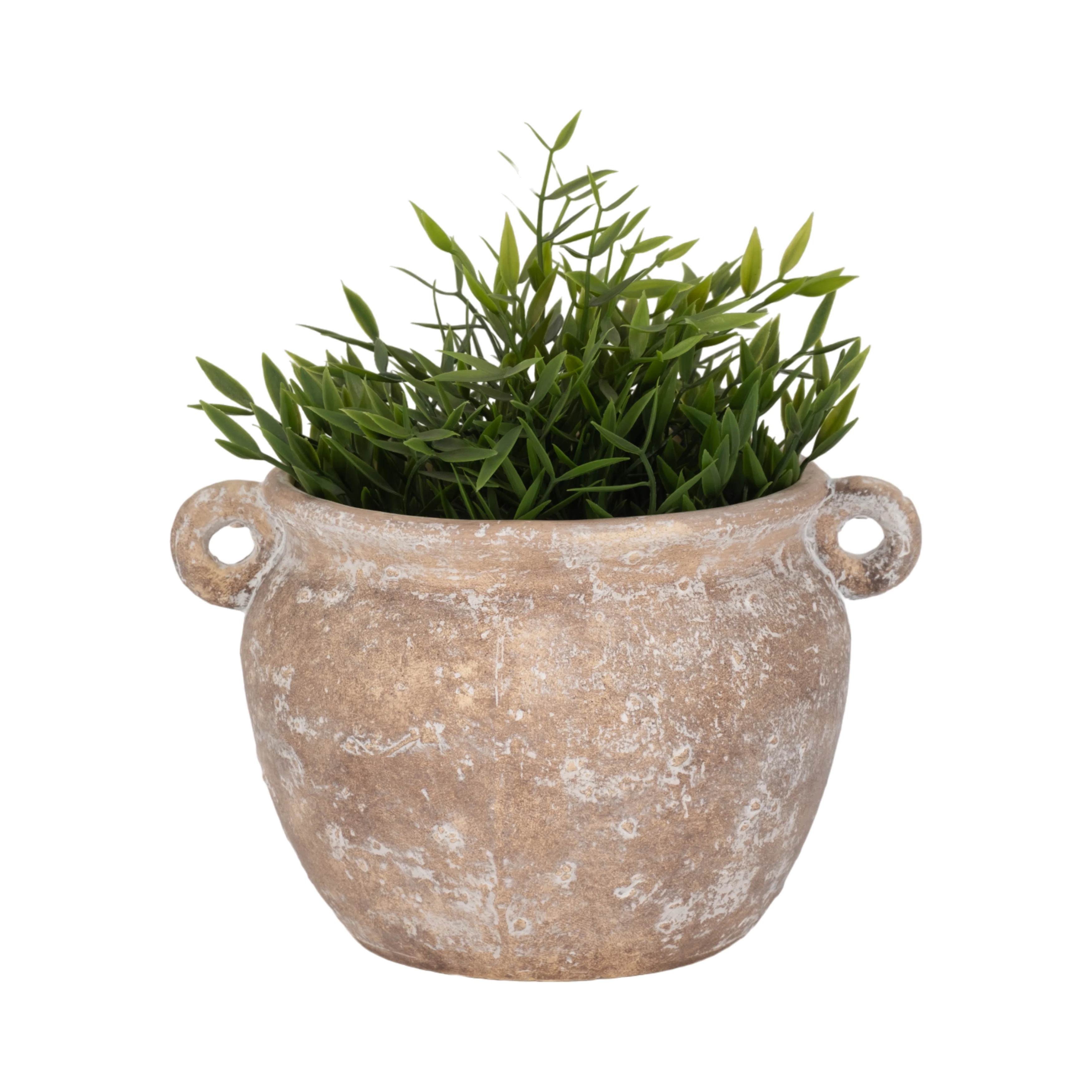 Bungalow Rose Textured Stoneware Jug Planter | Wayfair North America