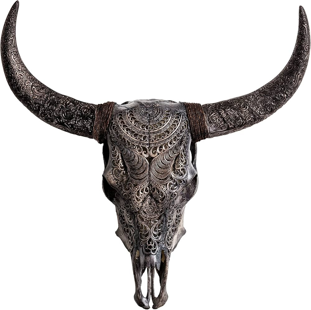 Skull Bliss - Hand-Carved Real Authentic Taxidermy Cow Skull/Bull Skull Wall Decor with XL Horns/... | Amazon (US)