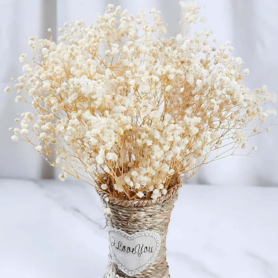 2000+ Dried Babys Breath Flowers Bulk - 17" Ivory White Dried Flower Bouquet, Real Natural Gypsop... | Amazon (US)