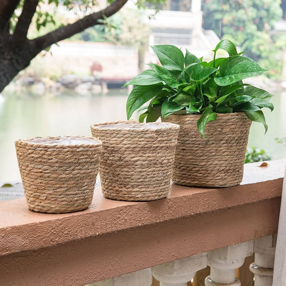 Plant Baskets for Indoor Plants, Seagrass Flower Plant Pots Cover Storage Basket for Organizing,9.8 inch,Brown Set of 3 | Amazon (US)
