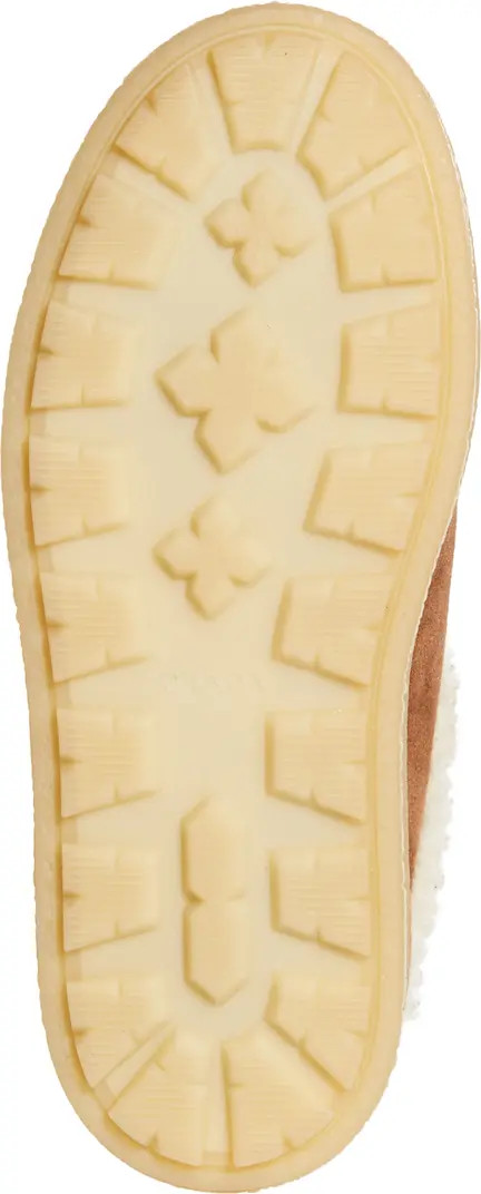 Evolve Genuine Shearling Clog (Women) | Nordstrom