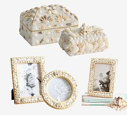 Shell Jewelry Box | Pottery Barn (US)