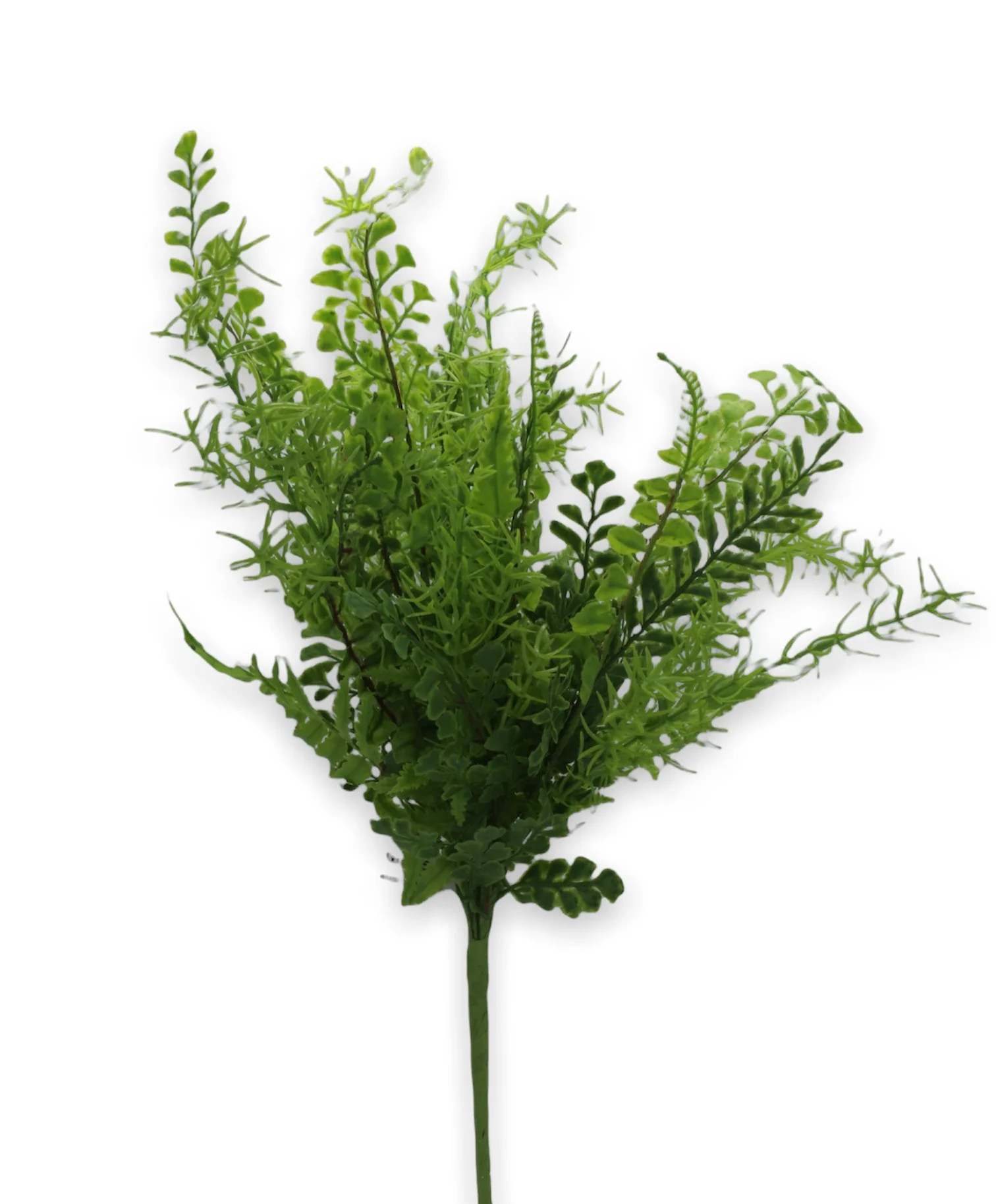 19.5" Mixed Fern Greens | The Nested Fig