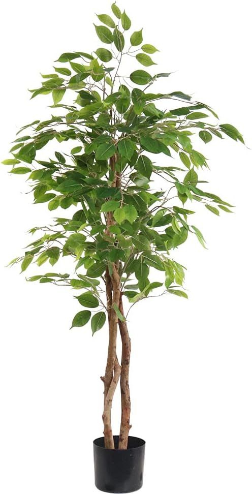 60'' Tall Artificial Tree Fake Ficus Indoor Silk Plant Large Potted Home Decor Faux Plants(1PC) | Amazon (US)