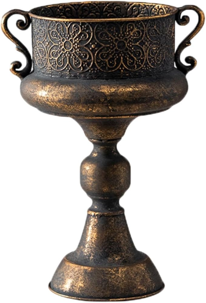 Vintage Trophy Shaped Iron Vase, 25.5x37 cm Rustic Flower Arrangement Planter for Garden and Home... | Amazon (US)