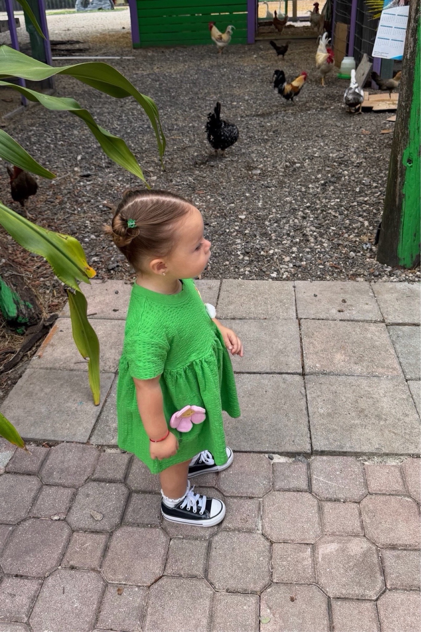 This green dress is the cutest and so comfy for running around—linking her outfit!


#LTKBaby #LTKKids #LTKootd