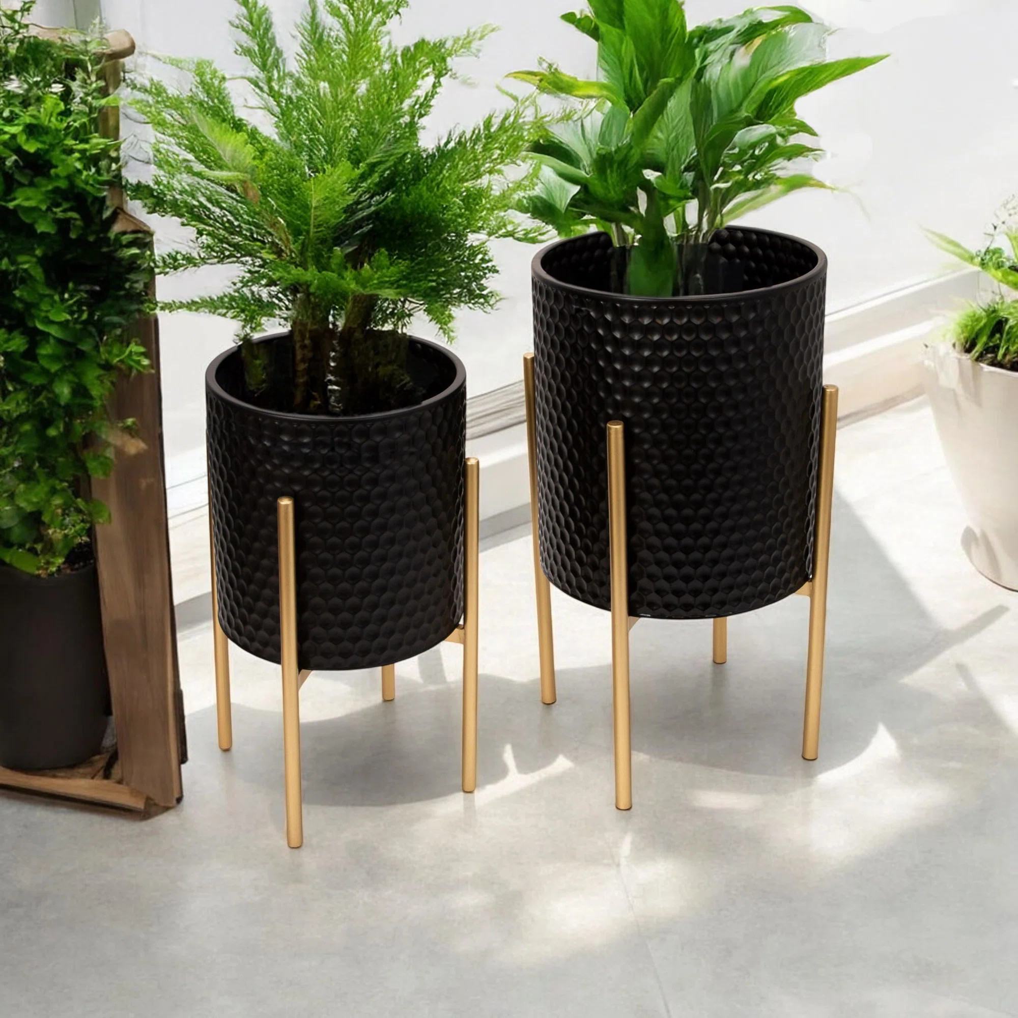 Mercury Row® Modern Metal Planter Pots with Stands - Decorative Iron Plant Holders for Indoor & ... | Wayfair North America