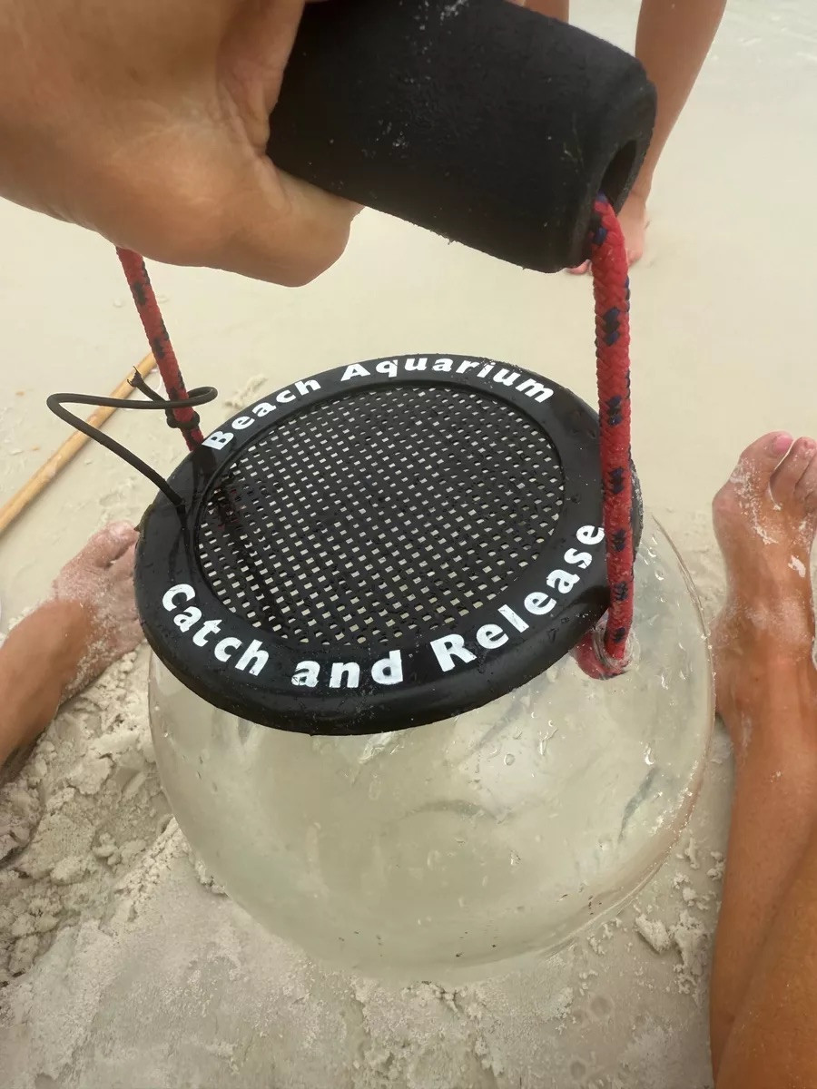 The boys’ favorite beach toy!
