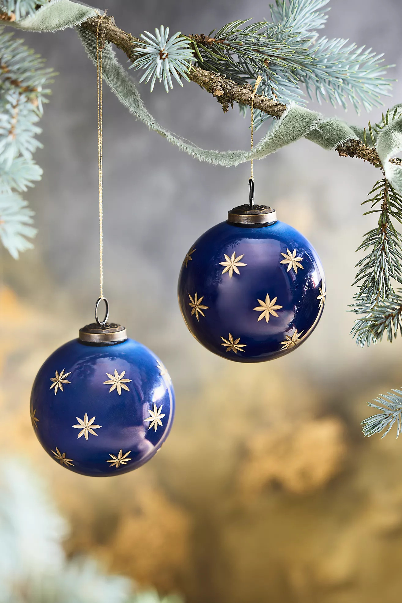 Celestial Globe Ornaments, Set of 2 | Anthropologie (US)