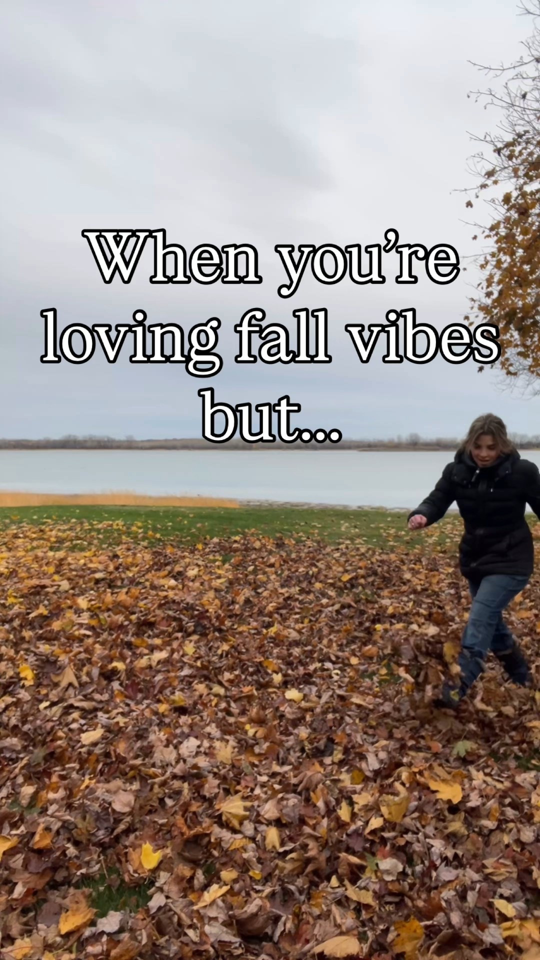 My Autumn Cleanup must have! 🍂

#LTKfall #LTKhome